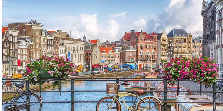 Dutch Courses at Fit4Taal: Live and Work in Amsterdam with Confidence